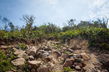 Tropical mountain road surrounded by dense jungle and rocky slopes under dramatic cloudy sky.
