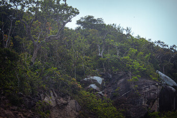 Tropical mountain road surrounded by dense jungle and rocky slopes under dramatic cloudy sky.
