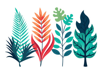 Tropical leaves vector illustration design background art