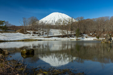 北海道京極ふきだし公園-雪の残る青空の羊蹄山-08