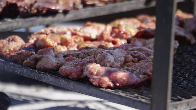 Delicious Argentinian beef cattle grilling as a Chinchulines specialty during outdoor cooking, Asado Argentino, Argentina.