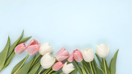 Pastel blue background with spring flowers. Pink and white tulips bouquet flat lay with space for text. Perfect for Valentine's Day, Easter, Birthday, Women's Day and Mother's Day cards.