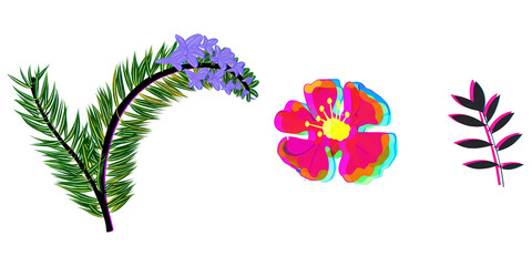 PNG Vibrant floral elements create a colorful collage.