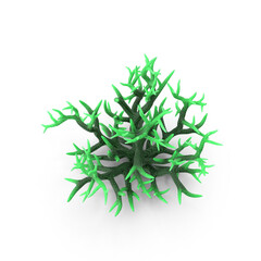 Green Color Coral Isolated on Transparent Background
