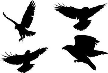 Obraz premium Flying bird silhouette vector illustration set, featuring eagles, hawks, and falcons with detailed wings and feathers, ideal for wildlife and tattoo designs