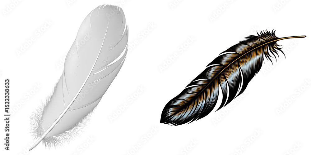 Poster png two feathers float on a transparent canvas