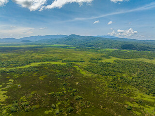 Tropical green forest and marshland, blue sky and clouds. Mindanao, Philippines.