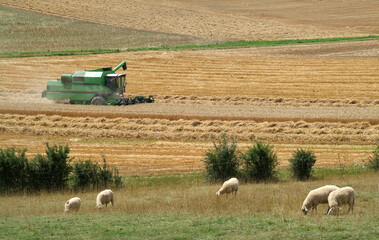 Landwirtschaft