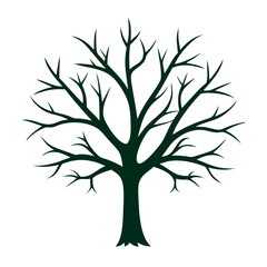 Fototapeta premium tree image set 