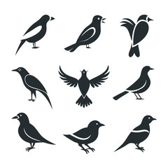 bird icon set  