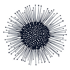 Obraz premium sea ​​urchin, underwater animal, vector, transparent background, creature, isolated, nature, food, pattern, ocean, natural, echinoderm, marine, animal