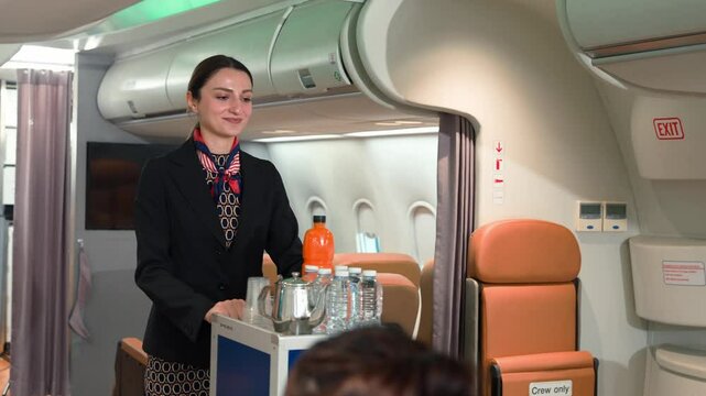 Flight Attendant Serving Water to Airline Passenger During In-Flight Service on Airplane Showing Professional Hospitality and Airline Crew Care