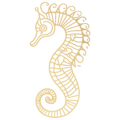 Fototapeta premium seahorse, underwater animal, vector, transparent background, creature, animal, ocean, cute, nature, wildlife, icon, underwater, marine, isolated