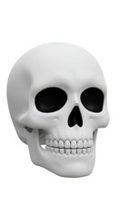Obraz premium Realistic 3D Human Skull with Transparent Background Anatomy Illustration