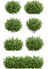 Naklejka premium Realistic 3D Illustration of Green Bushes on Transparent Background