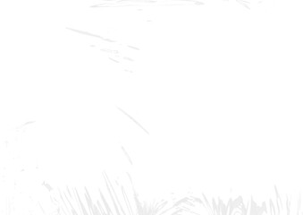 Plastic Wrinkles texture, pvc warp transparent and isolated background.