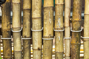 Fototapeta premium bamboo background texture
