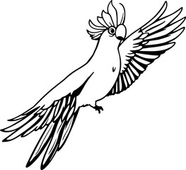 Obraz premium Black and White Vector Illustration of a Flying Cockatoo Parrot