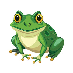 Obraz premium frog on white background