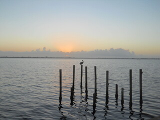 Obraz premium sunrise on the lake