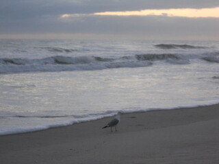 beach at sunrise
