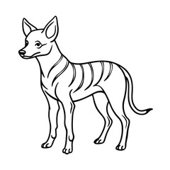 Fototapeta premium line art standing baby dingo