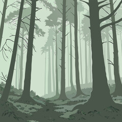 bamboo forest in the morning