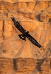 Fototapeta premium Majestic Eagle in Canyon Flight