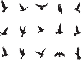 Fototapeta premium Collection of Flying Bird Silhouettes