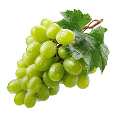 A bunch of green grapes with water droplets and leaves against a white background in close up view