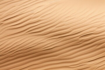 Sand texture backgrounds desert nature.