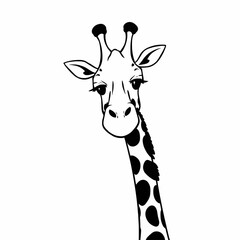 Obraz premium A minimalist, monochromatic black and white vector illustration of a giraffe's head and long neck on a white background.