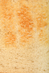 A close-up shot of a slice of white bread with lightly toasted spots and visible texture