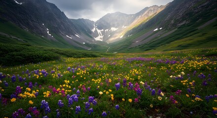 Obraz premium Vibrant Wildflower Meadow in Majestic Mountain Valley