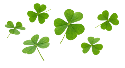 Festive clover and shamrock leaves flying, isolated background
