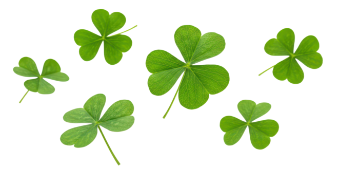 Festive clover and shamrock leaves flying, isolated background - Powered by Adobe