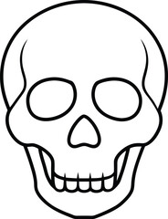 Simple Line Art Skull Illustration A Clean and Minimalist Design