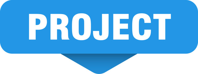 project sticker. project sign on transparent background