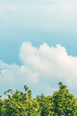 Obraz premium Green treetops, white clouds and blue sky are perfect background for nature and environment concept
