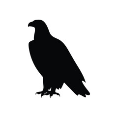 Eagle silhouette, Animal silhouette, Animal eagle