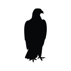 Eagle silhouette, Animal silhouette, Animal eagle
