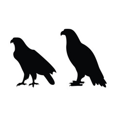 Eagle silhouette, Animal silhouette, Animal eagle