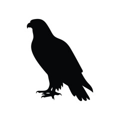 Eagle silhouette, Animal silhouette, Animal eagle