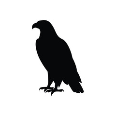 Eagle silhouette, Animal silhouette, Animal eagle