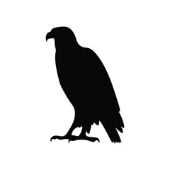 Eagle silhouette, Animal silhouette, Animal eagle
