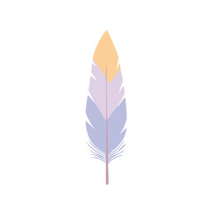 Pastel feather design element 381