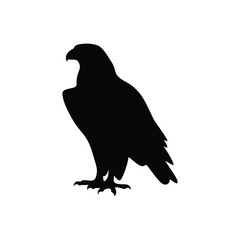 Eagle silhouette, Animal silhouette, Animal eagle