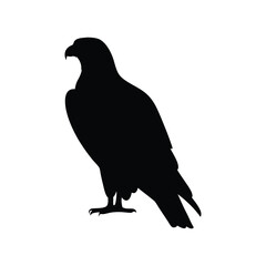 Eagle silhouette, Animal silhouette, Animal eagle