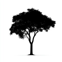 Fototapeta premium Bushy maple tree silhouette illustration isolated.