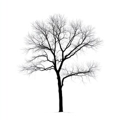 Higher tree silhouette illustration black.